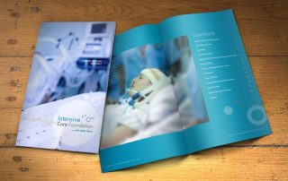 annual-report-icf-mde-advertising-graphic-design-cms-websites-brochures-annual-reports-business-cards-branding-logo-design-1024×768-1